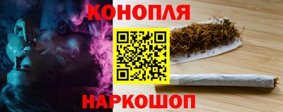 дмт Аргун